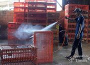 PT TIMAH Serahkan Bantguan Mesin Steam untuk Usaha Ayam Potong
