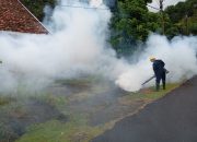 Lakukan Fogging Hingga Sosialisasikan 3M, Upaya PT TIMAH Cegah DBD di Wilayah Operasional Perusahaan