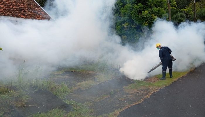 Lakukan Fogging Hingga Sosialisasikan 3M, Upaya PT TIMAH Cegah DBD di Wilayah Operasional Perusahaan