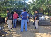 Kasus Taycoi Masih Dalam Tahap Penyelidikan