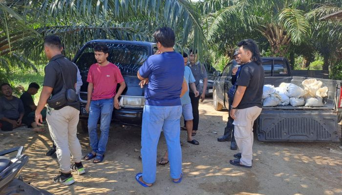 Kasus Taycoi Masih Dalam Tahap Penyelidikan