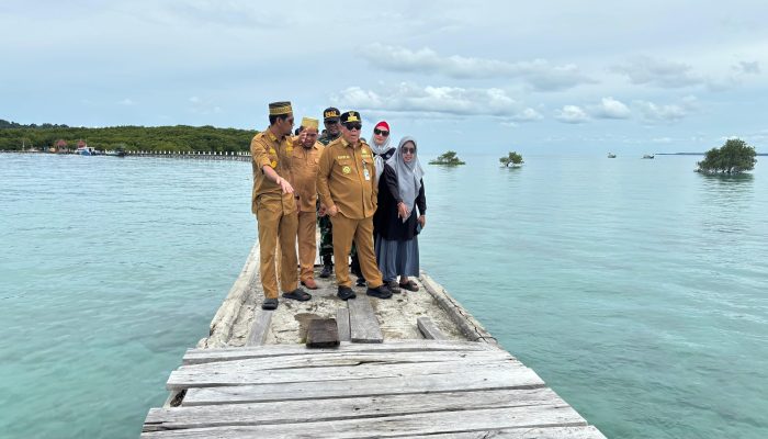 Gubernur Tinjau Dermaga Pulau Kelapan yang Rusak