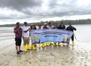 PT TIMAH Lestarikan Lingkungan dengan Menanam Mangrove