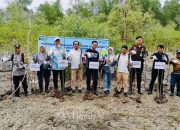 PT TIMAH Tanam Ribuan Mangrove di Pantai Kobel
