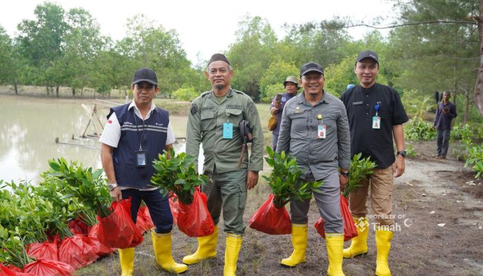 PT TIMAH Tbk Dorong Pemulihan Lingkungan Berkelanjutan