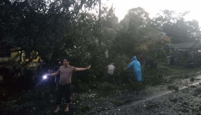 Bersama Masyarakat, Polsek Simpang Teritip Bersihkan Pohon Tumbang