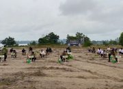 Tanaman Pohon dalam Rangka Operasi Tertib Tambang Menumbing 2025