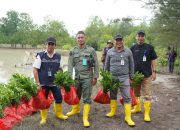 PT TIMAH Tanam Belasan Ribu Mangrove untuk Jaga Ekosistem Pesisir