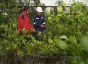 Dorong Pelestarian Lingkungan Melalui Program Seribu Pohon untuk Negeri