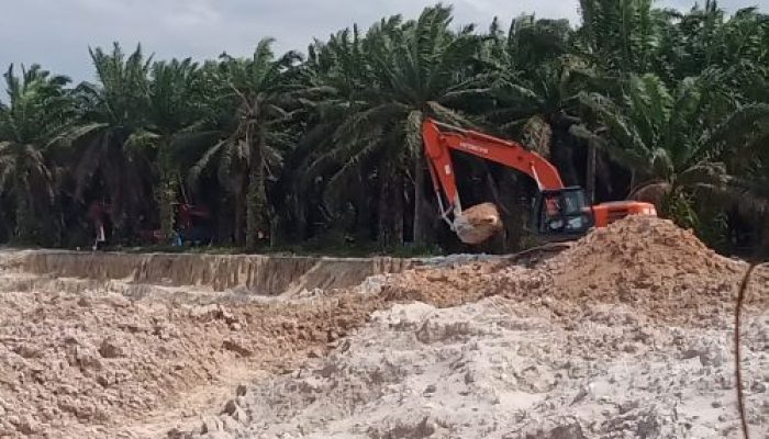 Polemik Tambang Timah di Komplek Pemda Bangka Tengah, Nama Acing Kembali Muncul