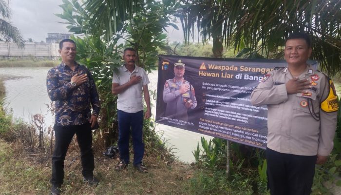 Warga Diminta Tingkatkan Kewaspadaan Terhadap Serangan Buaya