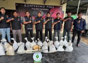 Polres Bangka Ciduk Penampungan Timah Ilegal di Desa Baturusa