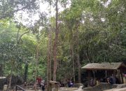 Air Terjun C2 Lubuk Besar, Pesona Wisata Alam Sejuk di Bangka Tengah