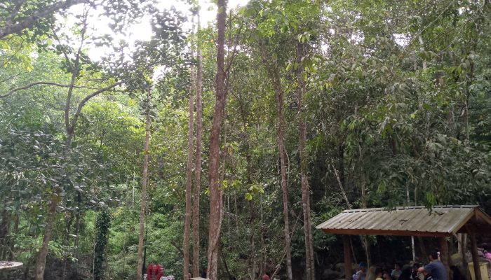 Air Terjun C2 Lubuk Besar, Pesona Wisata Alam Sejuk di Bangka Tengah