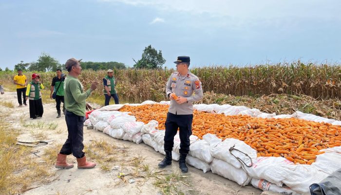 Kapolsek dan Bhabinkamtibmas Dukung Swasembada Jagung
