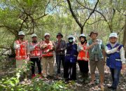 PT TPS Lestarikan Ekosistem Mangrove di Lingkungan Pelabuhan Tanjung Perak