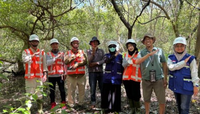 PT TPS Lestarikan Ekosistem Mangrove di Lingkungan Pelabuhan Tanjung Perak