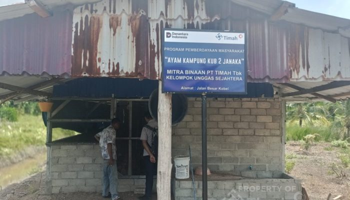 PT TIMAH Dukung Kelompok Unggas Sejahtera