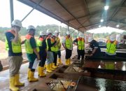 PT TIMAH Ajak Inestor Melihat Tambang Hingga Pabrik Pengolahan