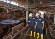 Wow! Laba Bersih TINS Tembus Rp1,31 Triliun