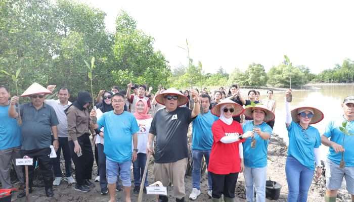 Gubernur Pimpin Aksi Sosial dan Penanaman Mangrove