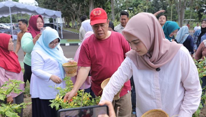 Jadikan Pekarangan Sebagai Lahan Ketahanan Pangan
