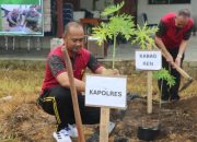 Polres Babar Tanam 200 Bibit Pepaya Kalifornia