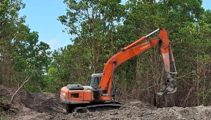 Ditreskrimsus Tertibkan Tambang Timah di Kawasan Hutan Produksi