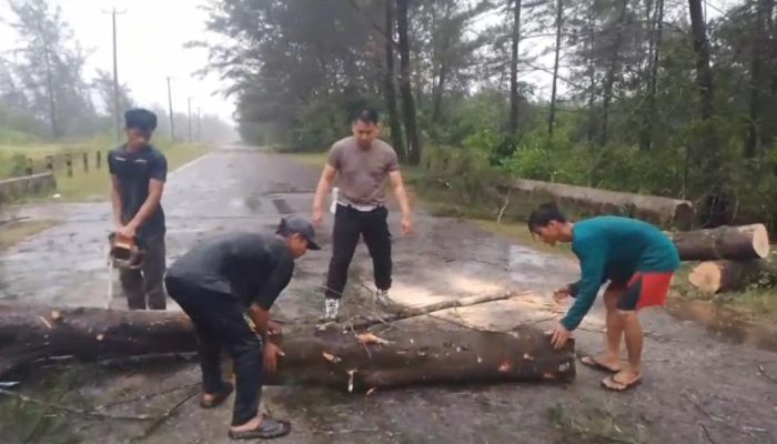 Polsek Merawang Evakuasi Pohon Tumbang