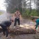 Polsek Merawang Evakuasi Pohon Tumbang
