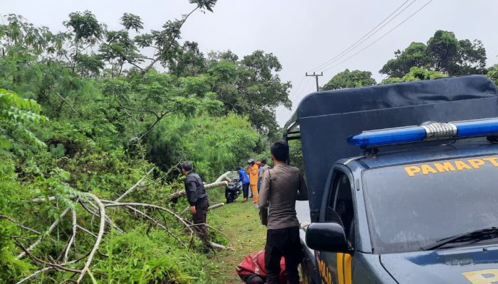 Bersama Warga Bersihkan Pohon Tumbang