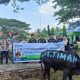 Hewan Kurban PT TIMAH Sampai ke Pelosok Provinsi Riau