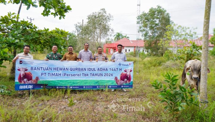 PT TIMAH Berbagi Hewan Kurban di Bangka Selatan