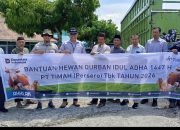 Antusias Sambut Bantuan Hewan Kurban dari PT TIMAH