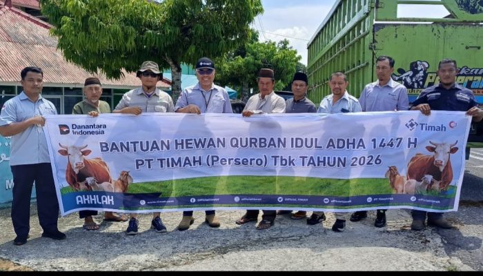 Antusias Sambut Bantuan Hewan Kurban dari PT TIMAH
