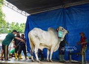 Ribuan Paket Daging Dibagikan untuk Warga