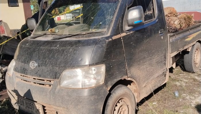 Pencuri Sawit Dikejar Pemilik Kebun