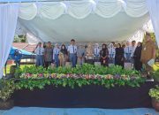Lulusan Baru Pilihan, Kuliah atau Kerja?