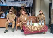 Sapi Bantuan Presiden Untuk Masyarakat Pangkal Arang