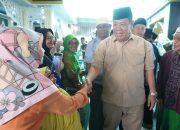 Sapi Bantuan Presiden untuk Masyarakat Sungailiat