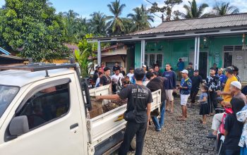 Ninja Sawit Diamankan Warga Sinar Surya