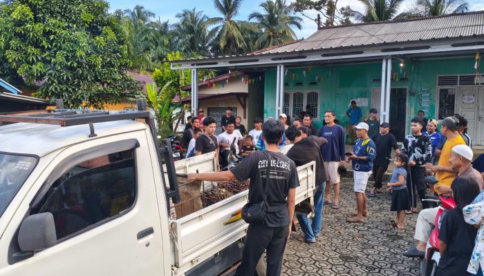 Ninja Sawit Diamankan Warga Sinar Surya