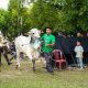 Kepala Daerah Apresiasi Konsistensi PT TIMAH