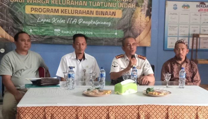 Kolaborasi Kembangkan Nanas Jadi Produk Olahan