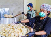 PT TIMAH Dampingi UMKM Tumbuh dan Berkembang
