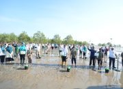 Pemprov Babel Gelar Aksi Tanam Mangrove