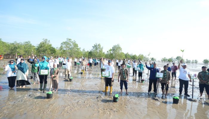 Pemprov Babel Gelar Aksi Tanam Mangrove