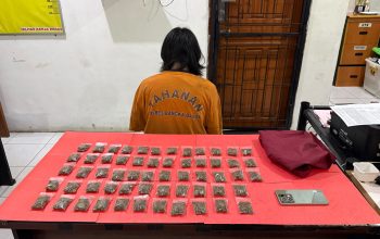 Polisi Amankan Pengedar dan 58 Paket Ganja