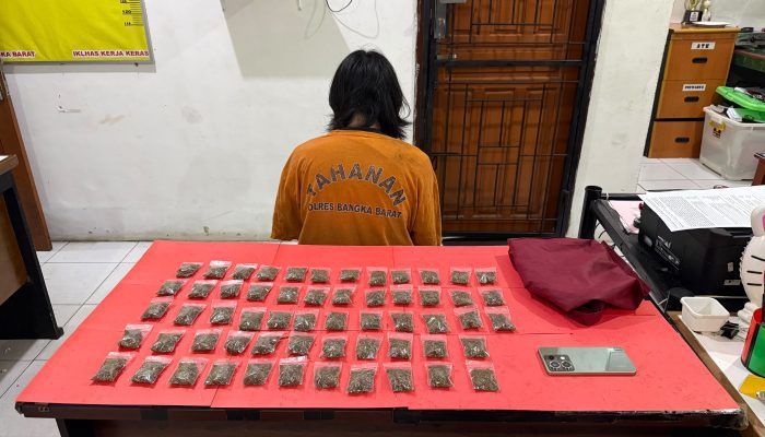 Polisi Amankan Pengedar dan 58 Paket Ganja