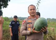 Polres Bangka Barat Panen 15 Ton Semangka